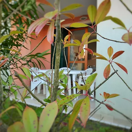 Magica Immobiliare - Milano Dune 33 公寓 *